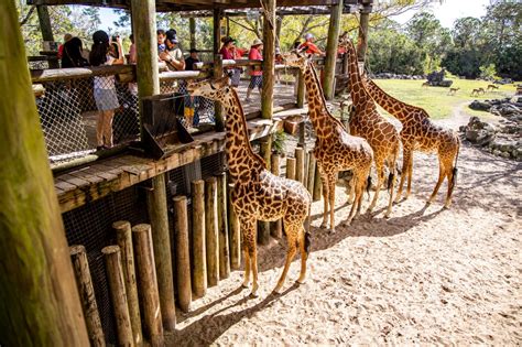 The 12 best zoos in and around Baguio .